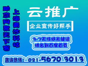 青沙網(wǎng)絡(luò)科技對互聯(lián)網(wǎng)推廣的概念與要點深度剖析